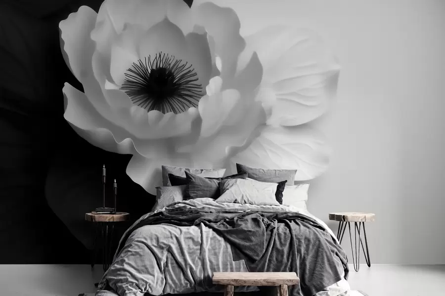Fototapet En kontrastrik vit blomma med mörk mitt på en svartvit bakgrund w09852