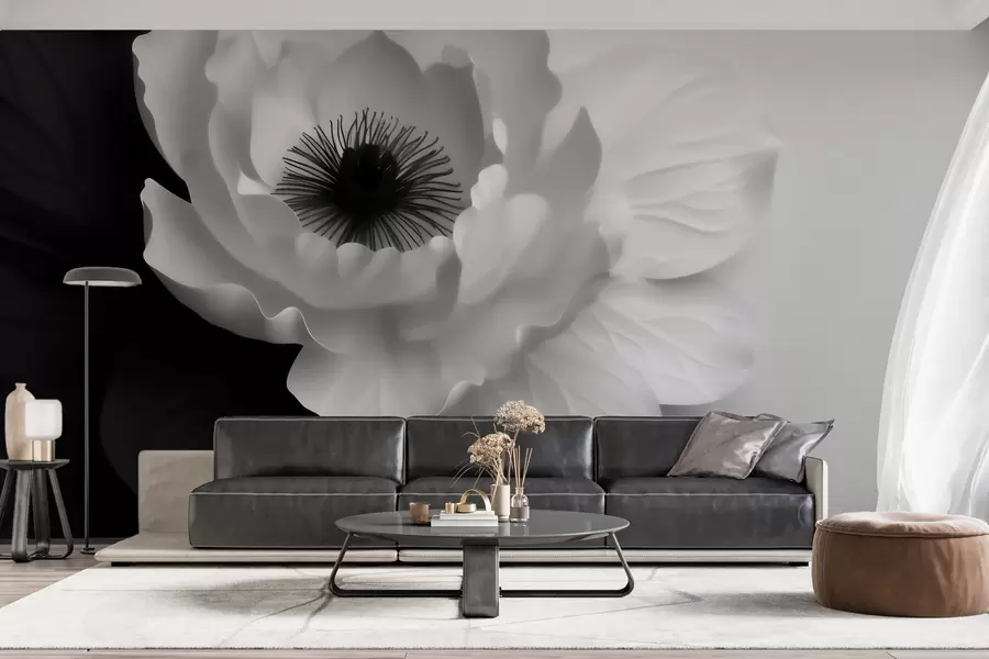 Fototapet En kontrastrik vit blomma med mörk mitt på en svartvit bakgrund w09852