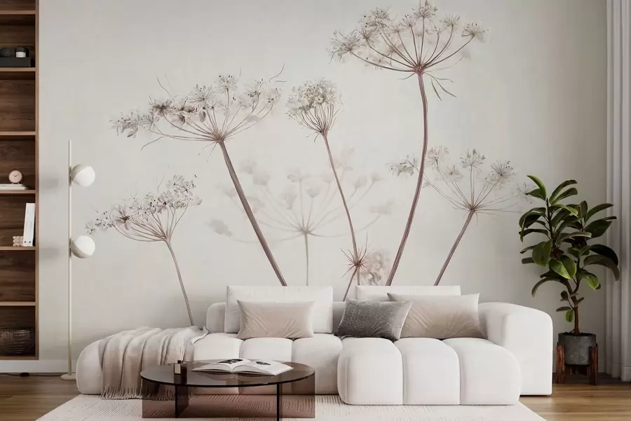Fototapet Torkade blomställningar mot en ljus, minimalistisk bakgrund w05543