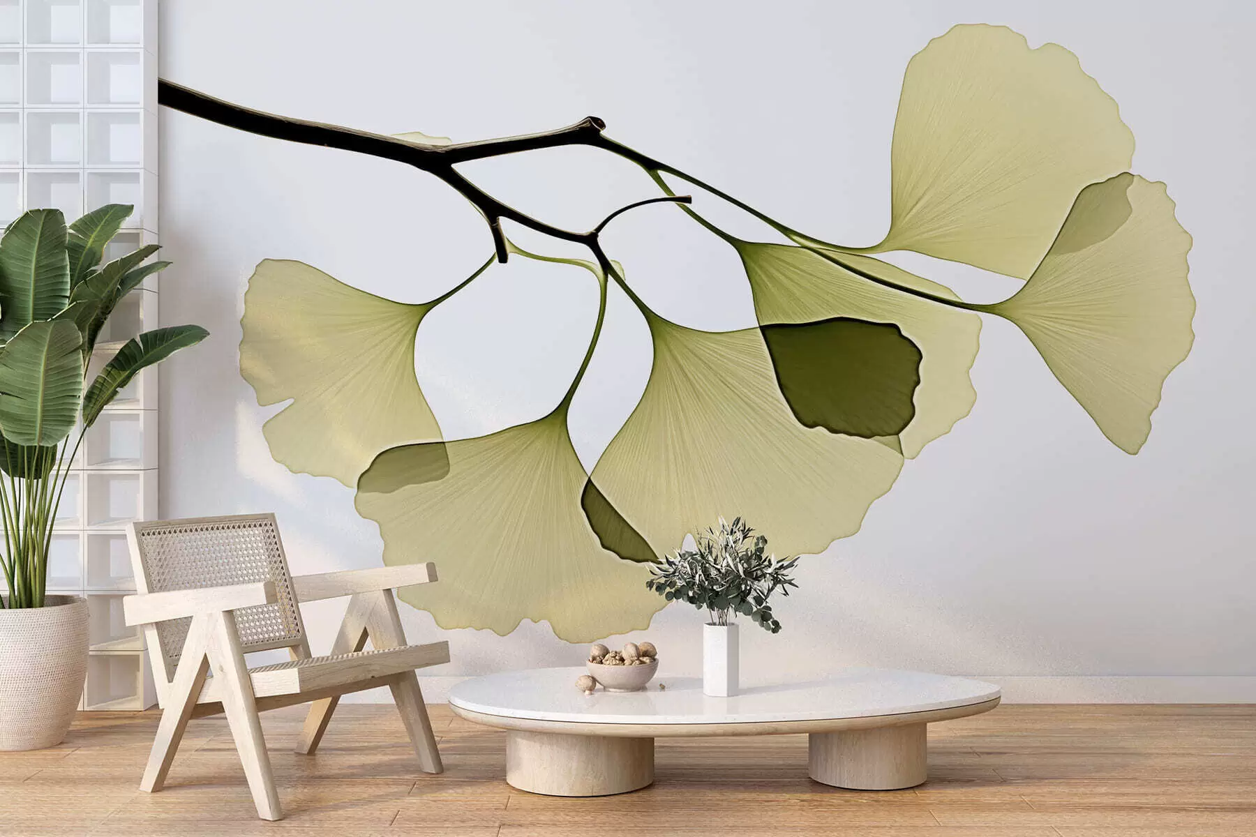 Fototapet Ginkgo-fläktblad w09968