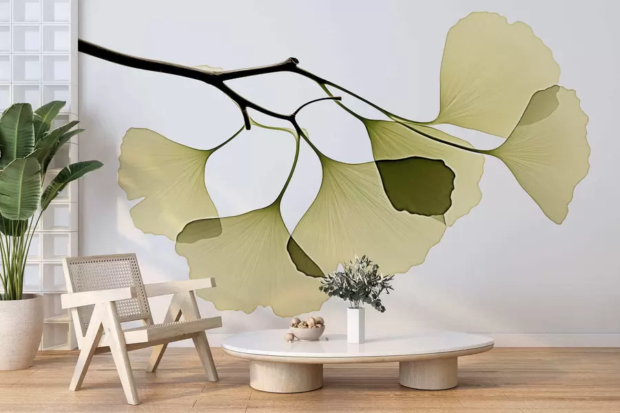 Fototapet Ginkgo-fläktblad w09968