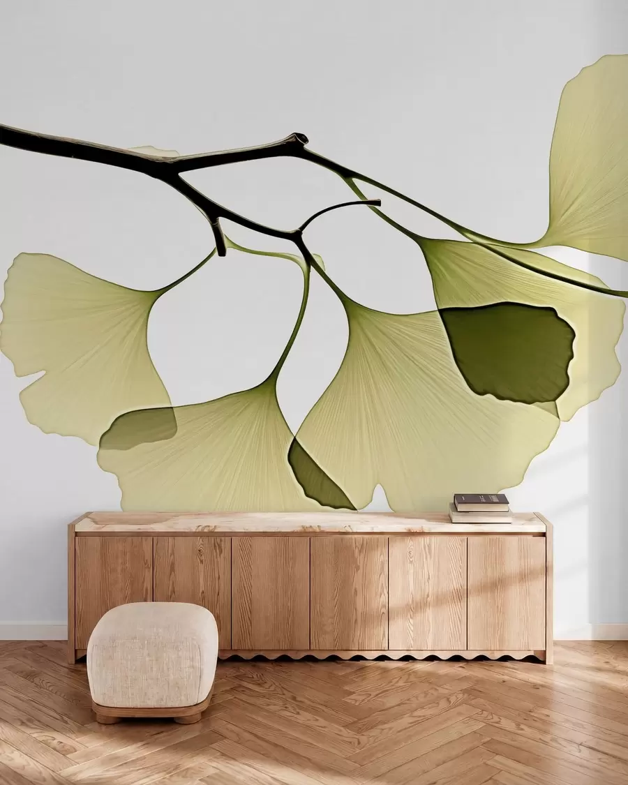 Fototapet Ginkgo-fläktblad w09968