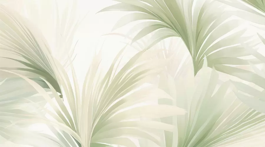 Fototapet Palmblad w05801