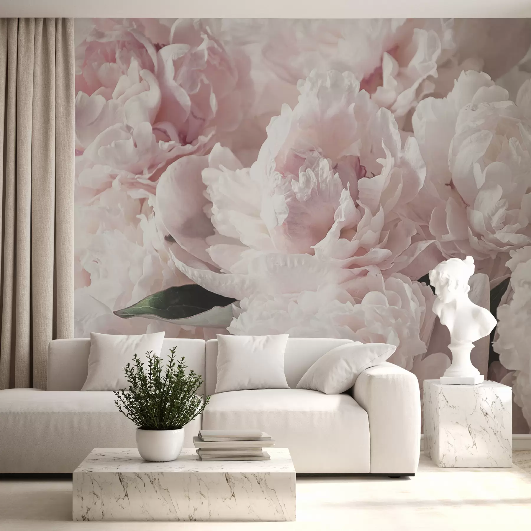 Fototapet Ljusrosa pioner u59600