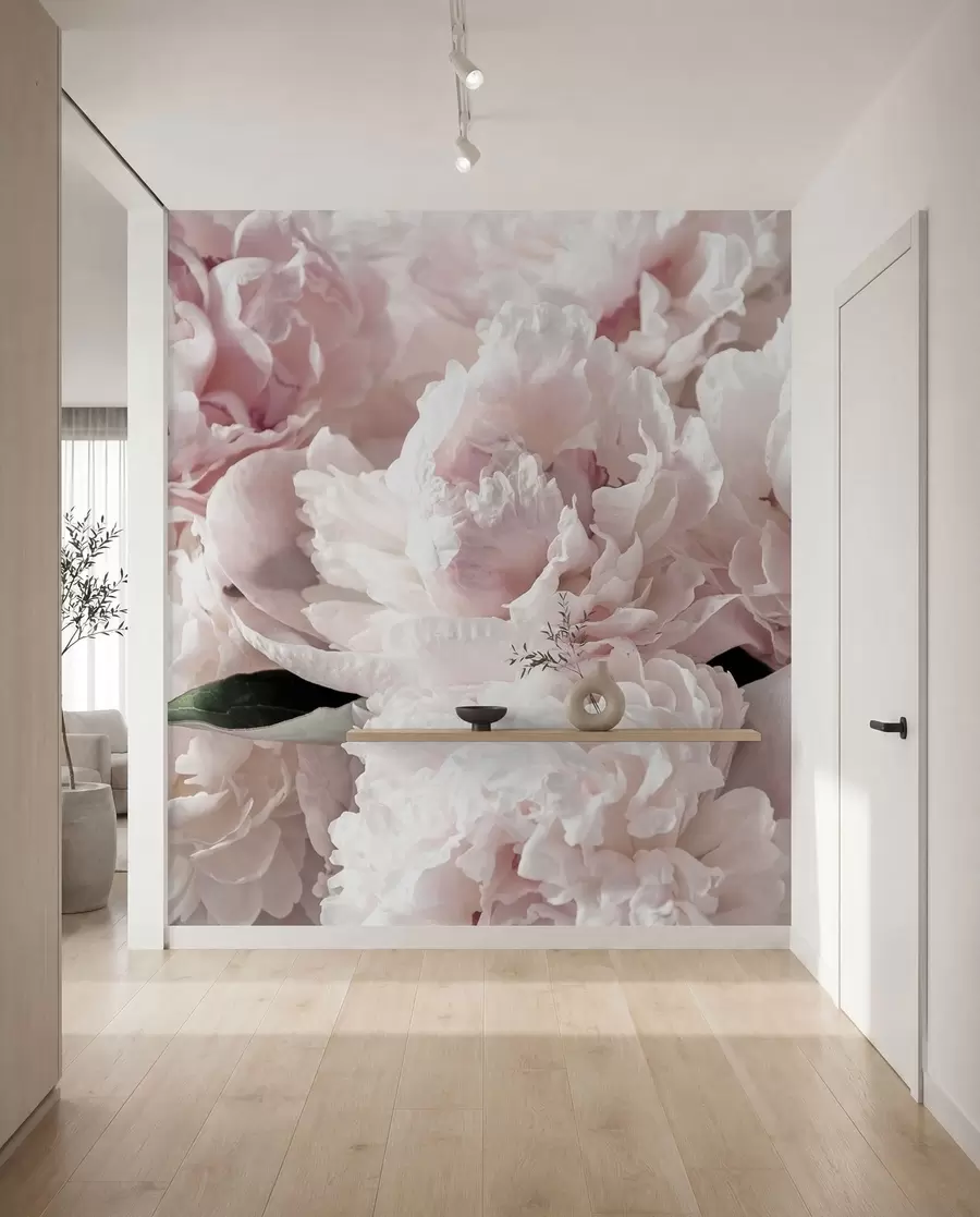 Fototapet Ljusrosa pioner u59600