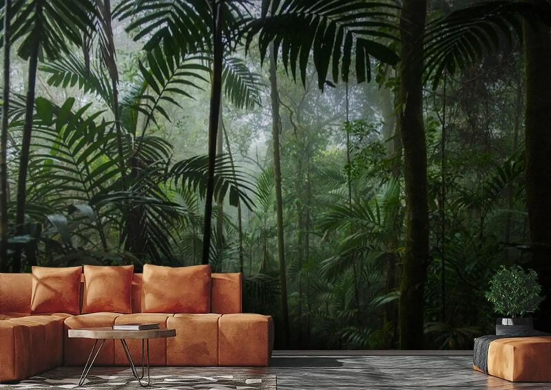 Fototapet En tropisk skog u72344