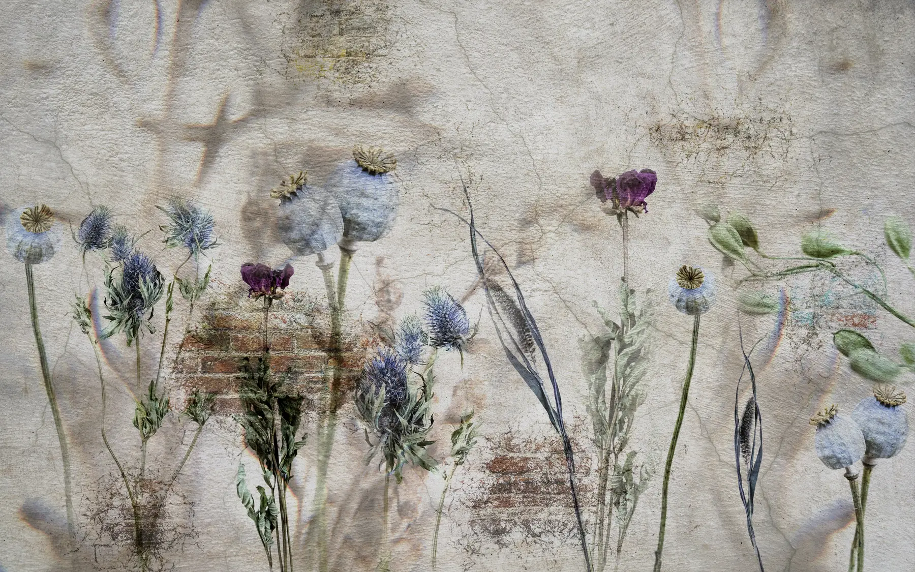 Fototapet Blommor och örter u72771