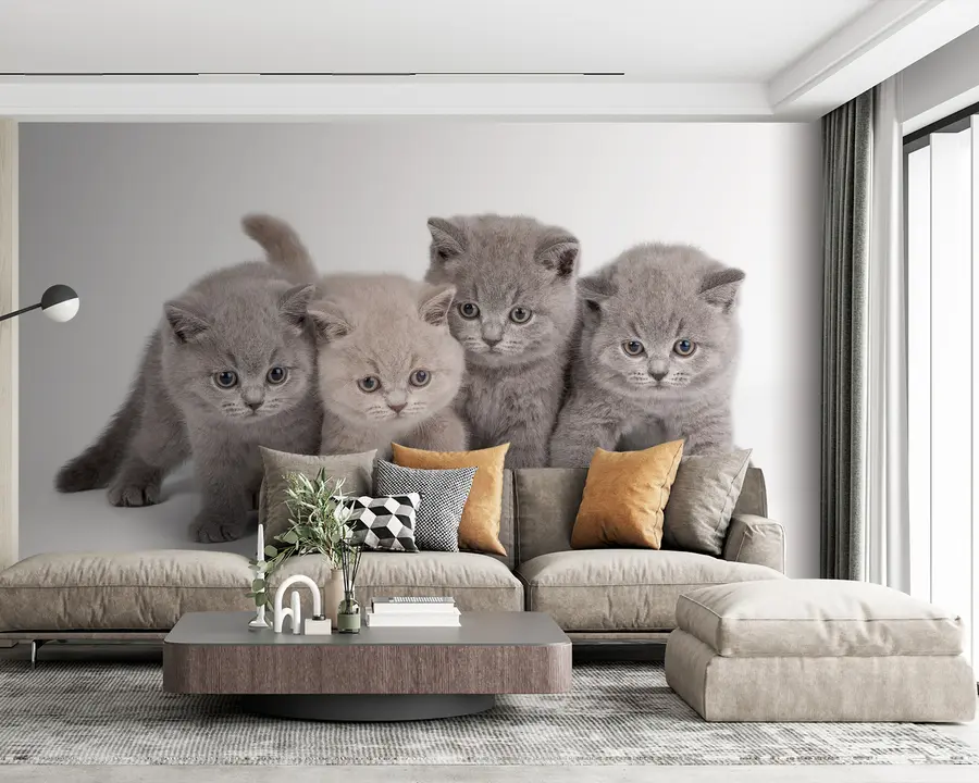 Fototapet Öga, katt och köttätare u55076