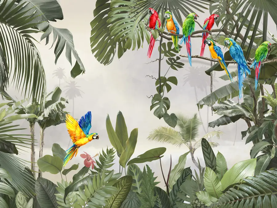 Fototapet Papegojor på grenar i den tropiska skogen u94072