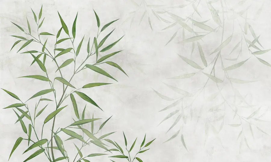 Fototapet Bambu vassblad u95921