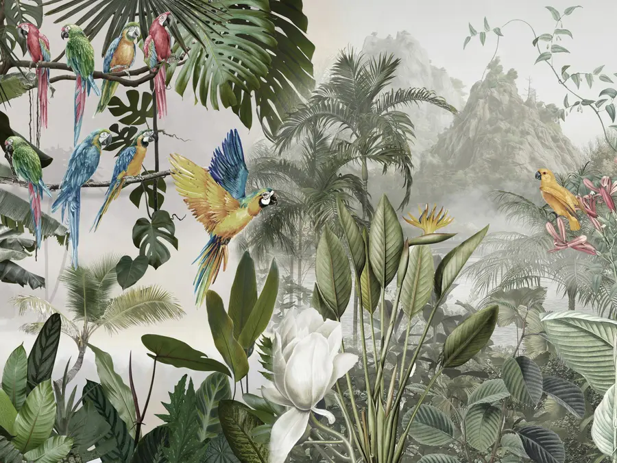 Fototapet Papegojor i regnskogen u95693