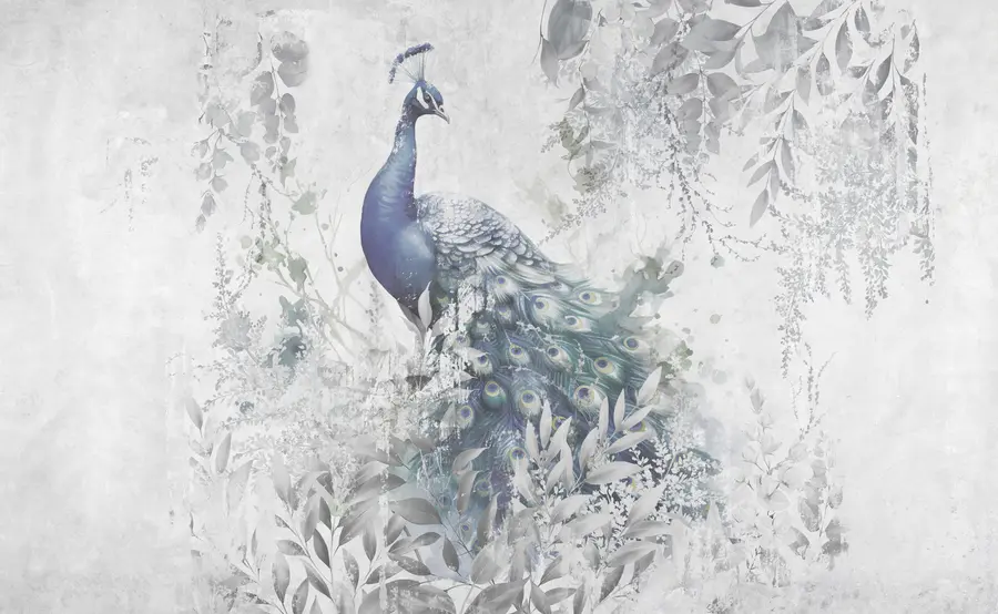 Fototapet Bräcklig påfågel på grunge konkret bakgrund u96727