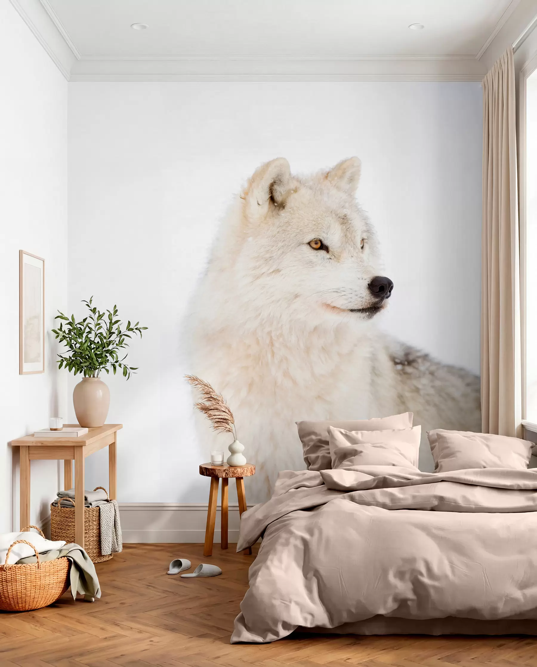 Fototapet Arktisk varg mot vit bakgrund u98189