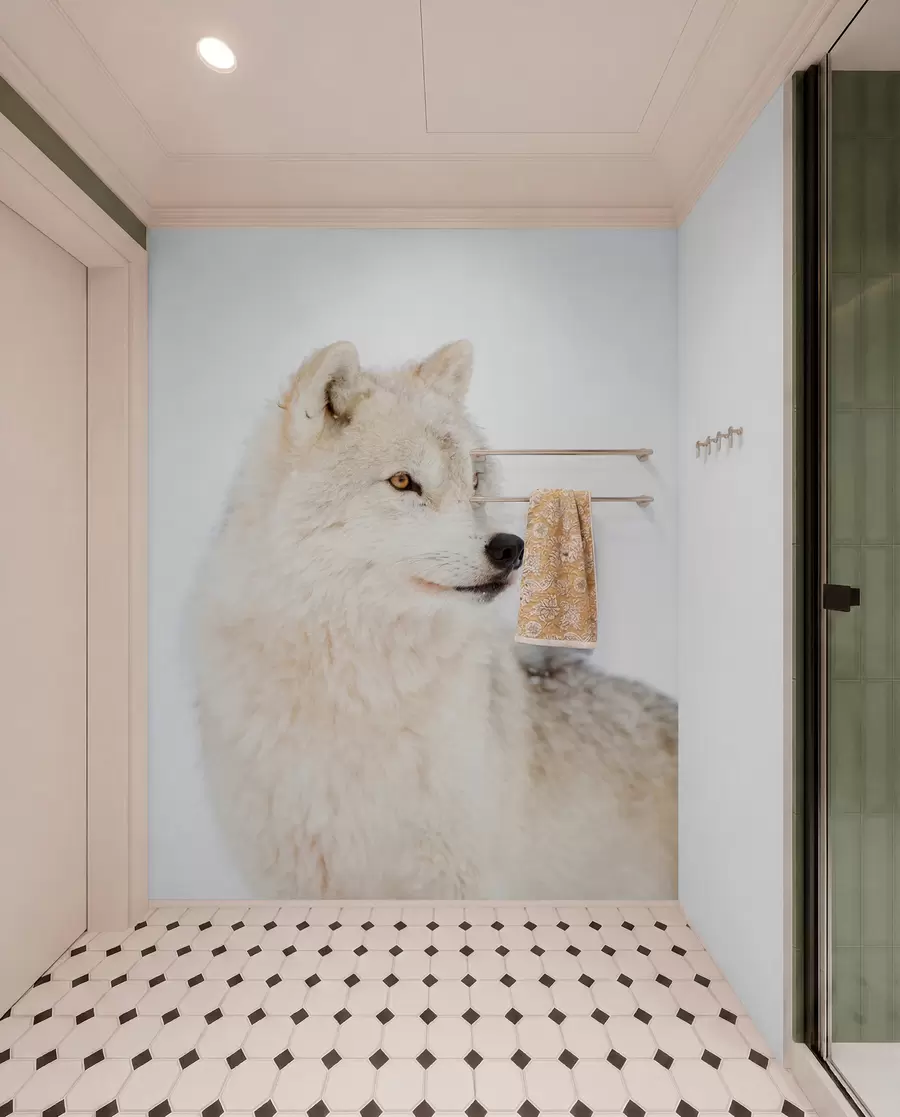 Fototapet Arktisk varg mot vit bakgrund u98189