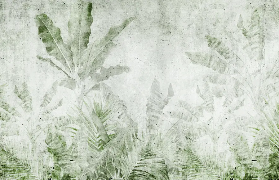 Fototapet Bananblad på en betongvägg u73886v3