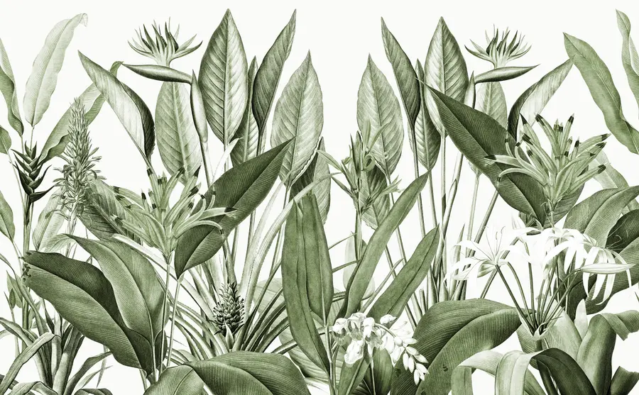 Fototapet Tropiska växter djungel grön färg u96833v2