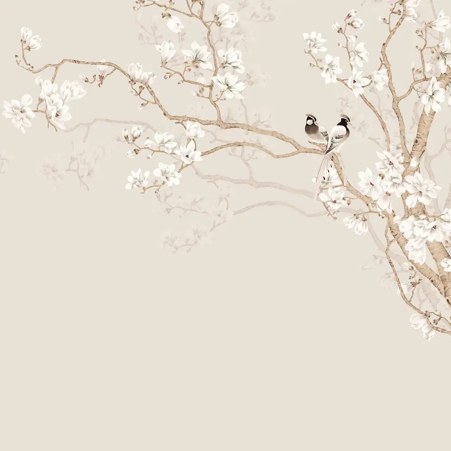 Fototapet Magnoliaträd i trädgården u25842d1